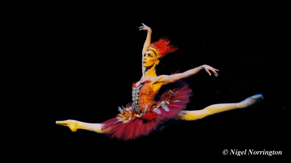Itziar Mendizabal dancing "The Firebird". ©Nigel Norrington